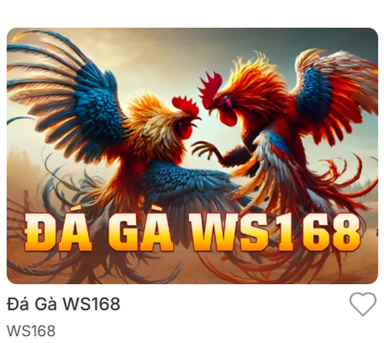Trải Nghiệm Đỉnh Cao Với Sảnh Đá Gà WS168 Tại Bin88 Chuyên Nghiệp