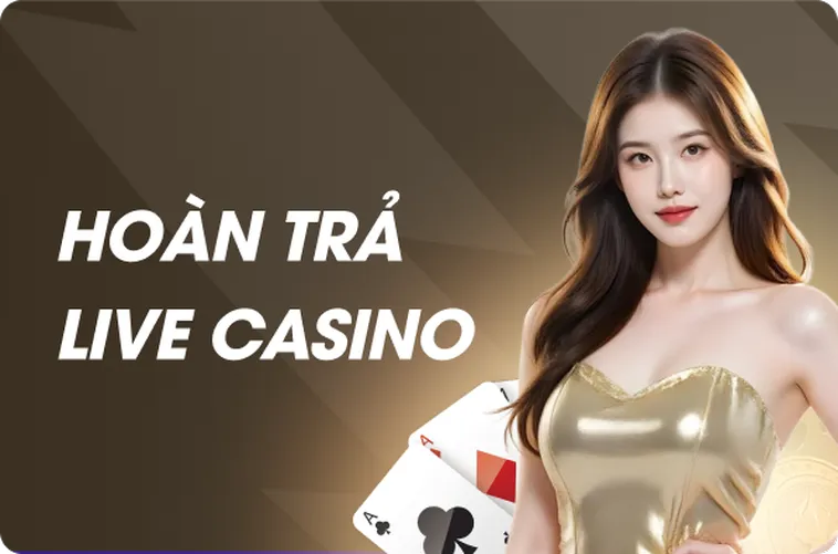 Live Casino Bin88 Đấu Trường Giải Trí Đẳng Cấp Với Hệ Thống Dealer Chuyên Nghiệp